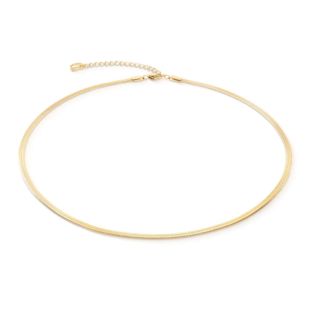 Flat Snake Chain Necklace | Coeur De Lion