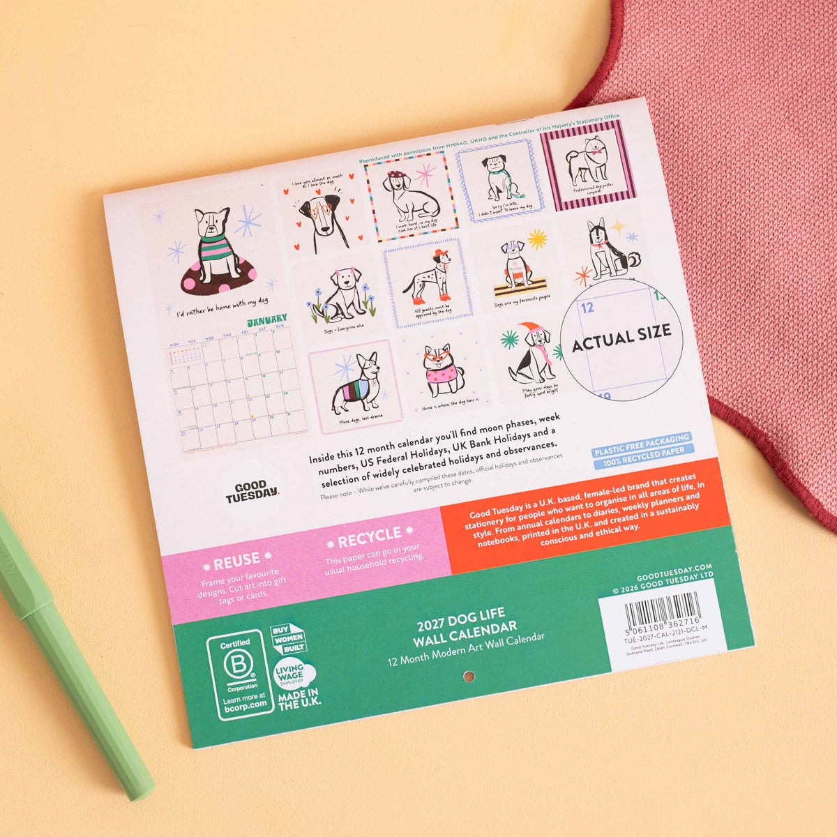 2027 Compact Wall Calendar | Dog Life | Good Tuesday