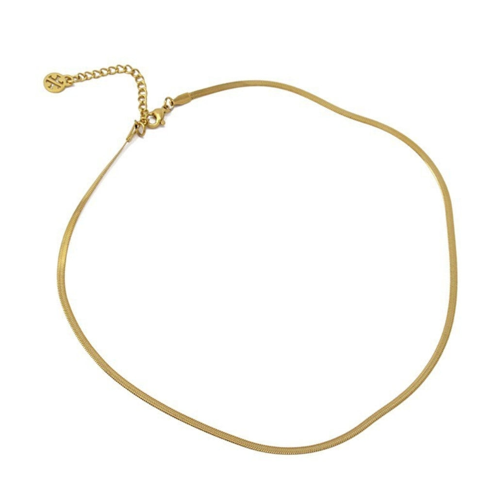Gold Dainty Herringbone Chain Necklace | Anartxy