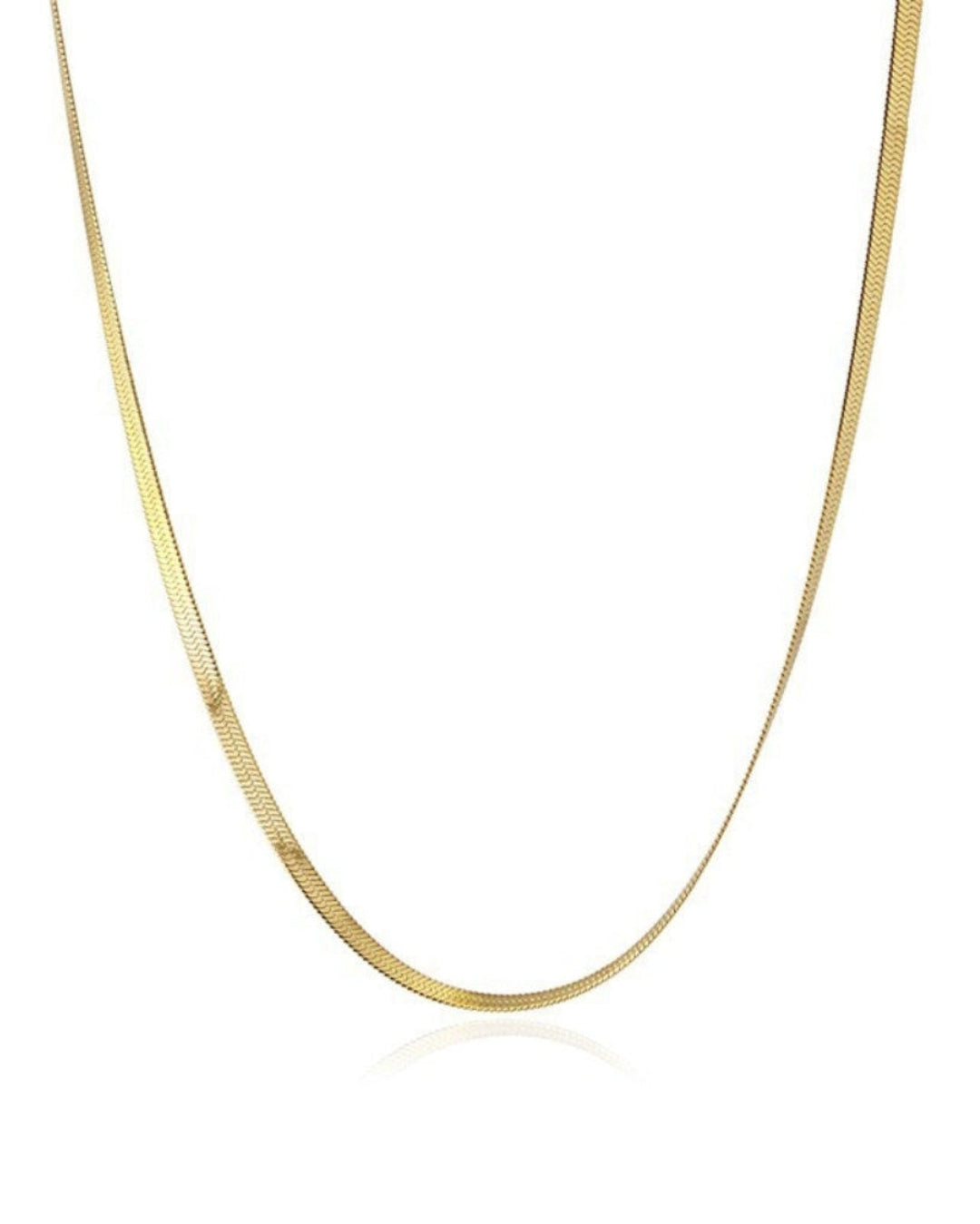 Steel Dainty Herringbone Chain Necklace | Anartxy