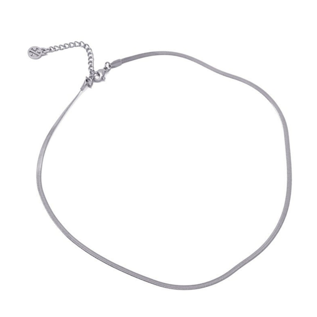 Steel Dainty Herringbone Chain Necklace | Anartxy