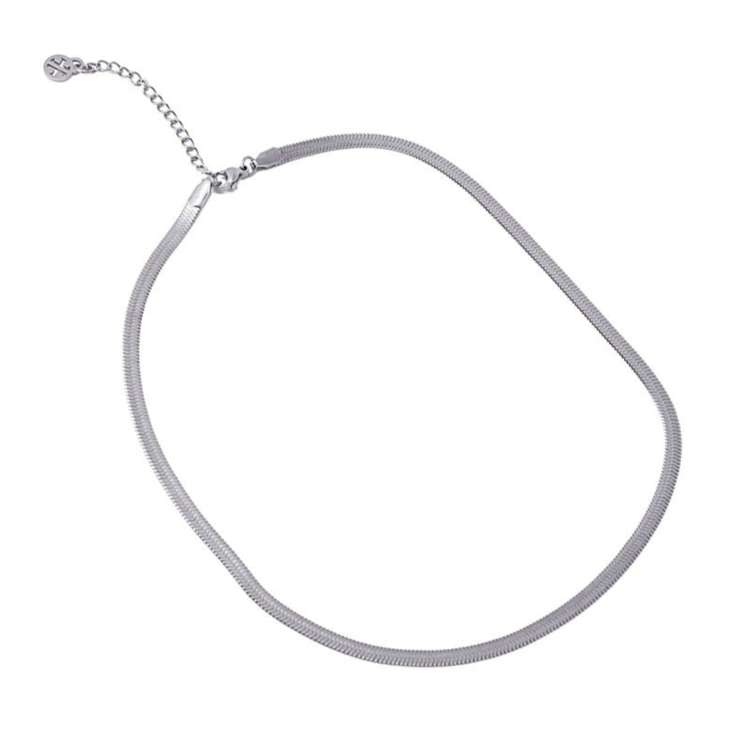 Steel Herringbone Chain Necklace | Anartxy