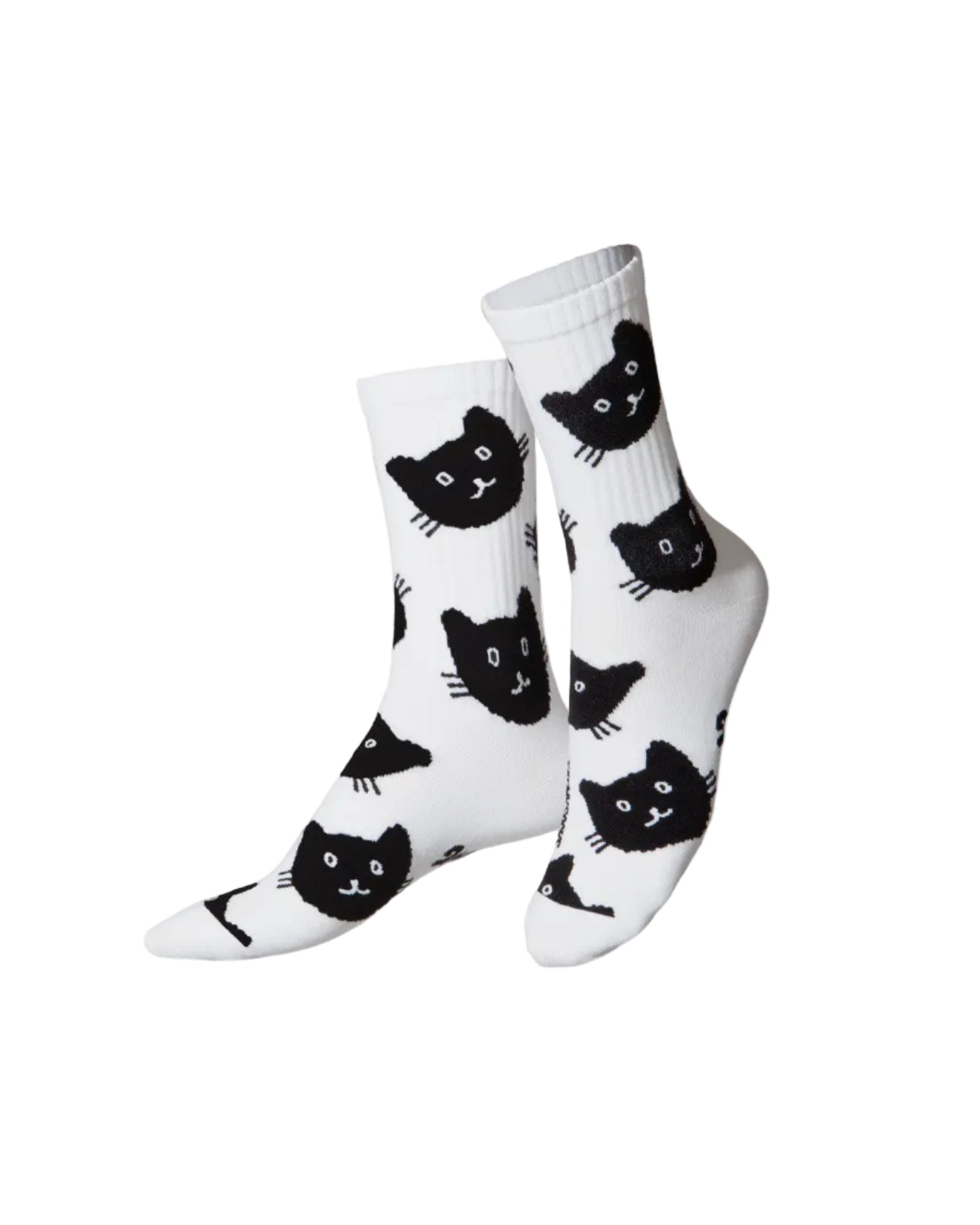 Cat Socks | Flat-Pack | Eat My Socks