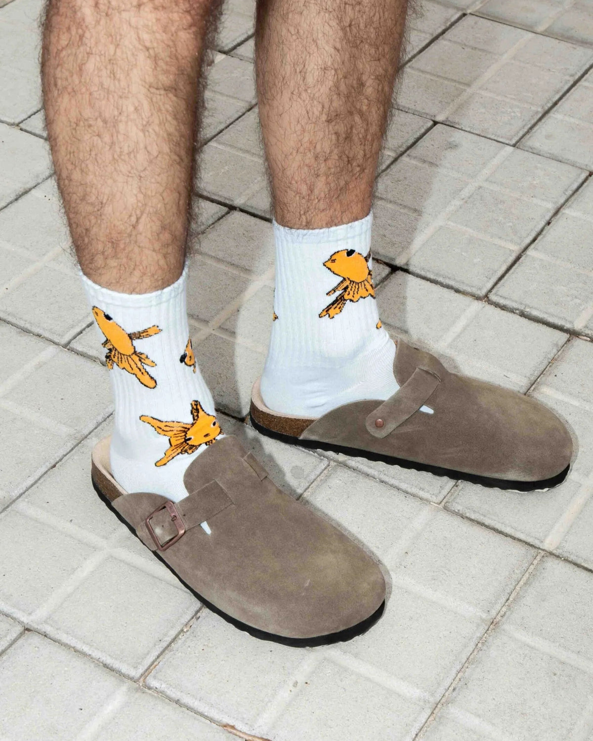 Goldfish | Flat-Pack | Eat My Socks