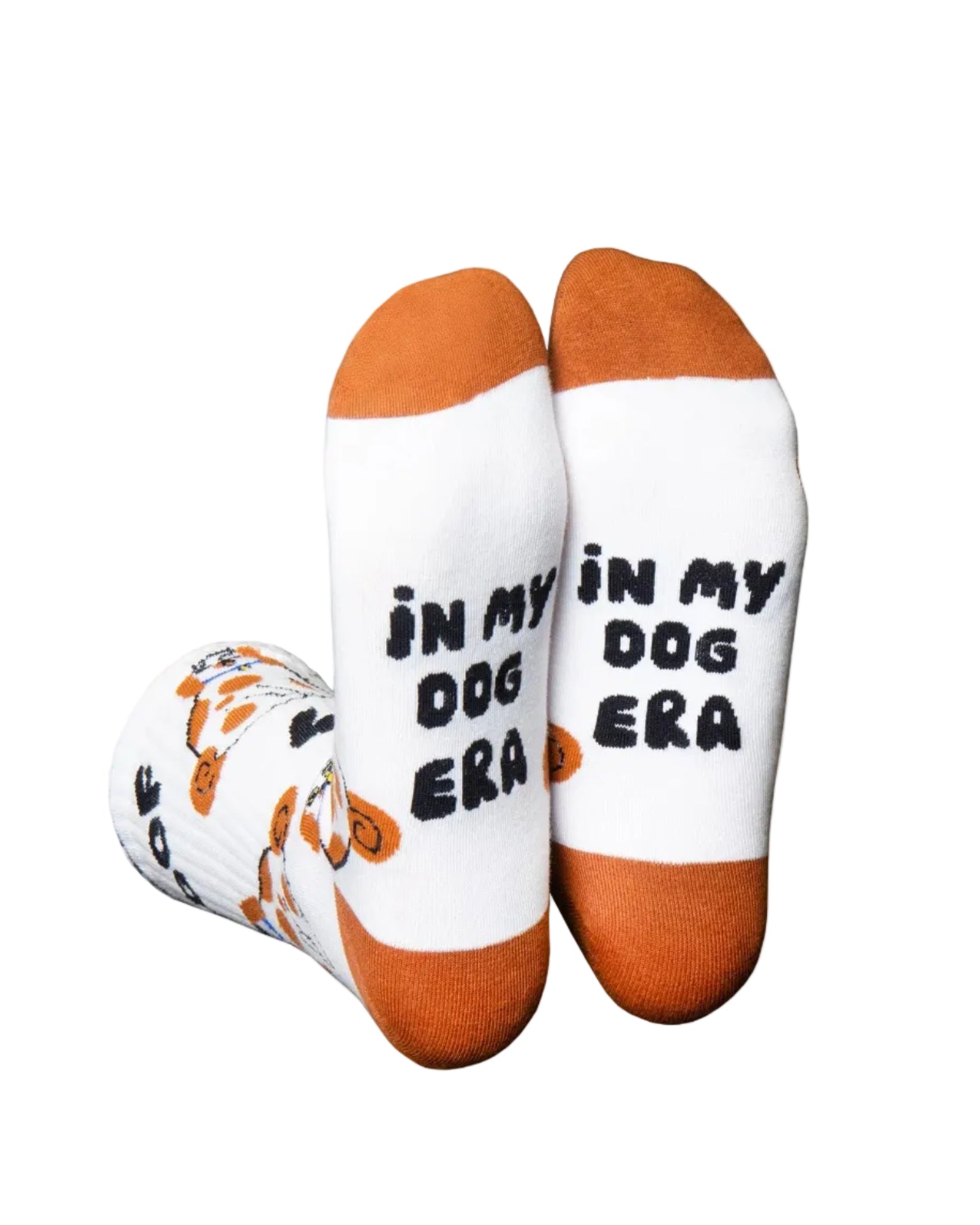 Brown Dog | Flat-Pack | Eat My Socks