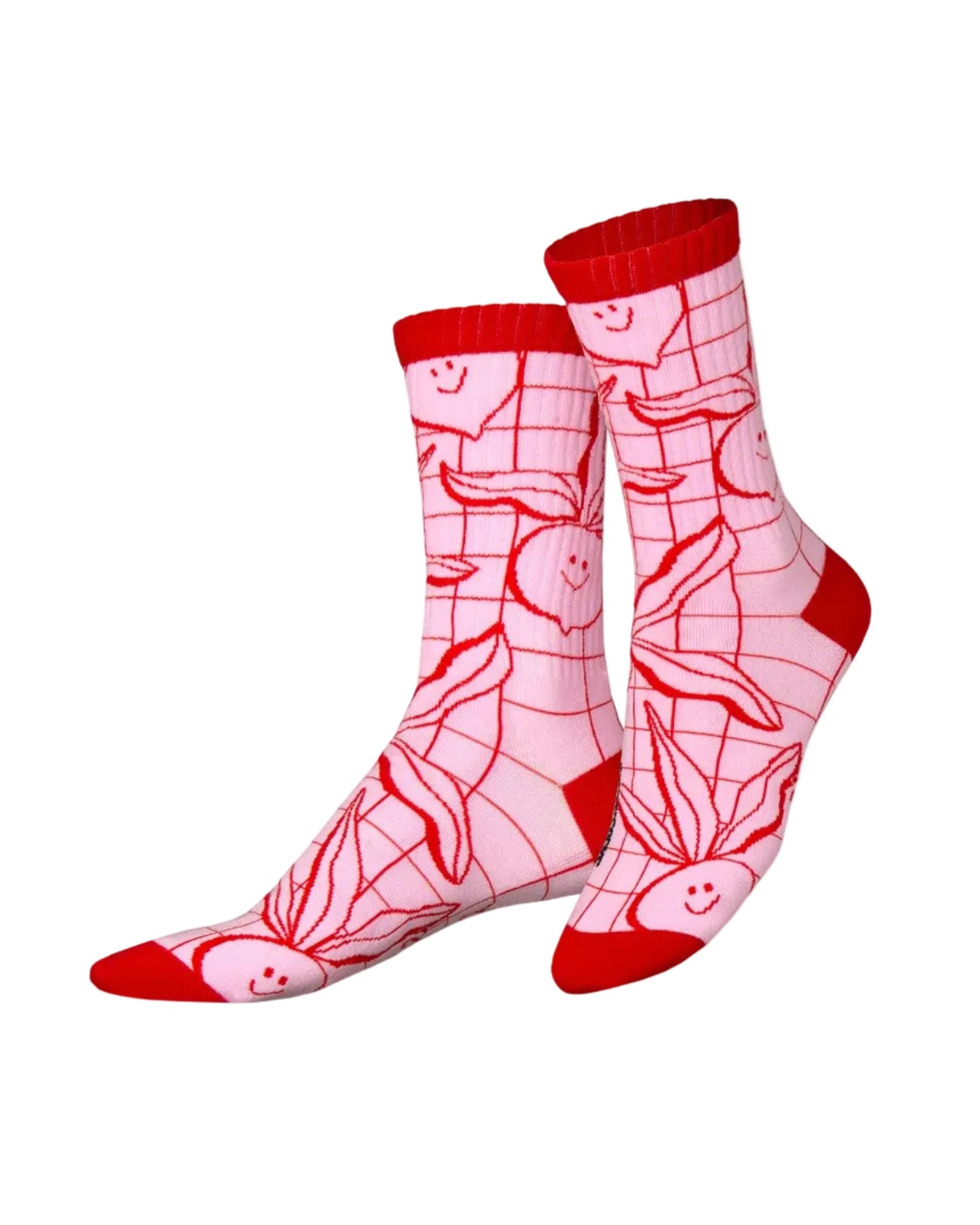 Veggie | Flat-Pack | Eat My Socks