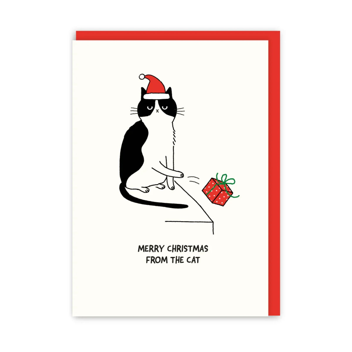 From The Cat Christmas Card | In Real Life