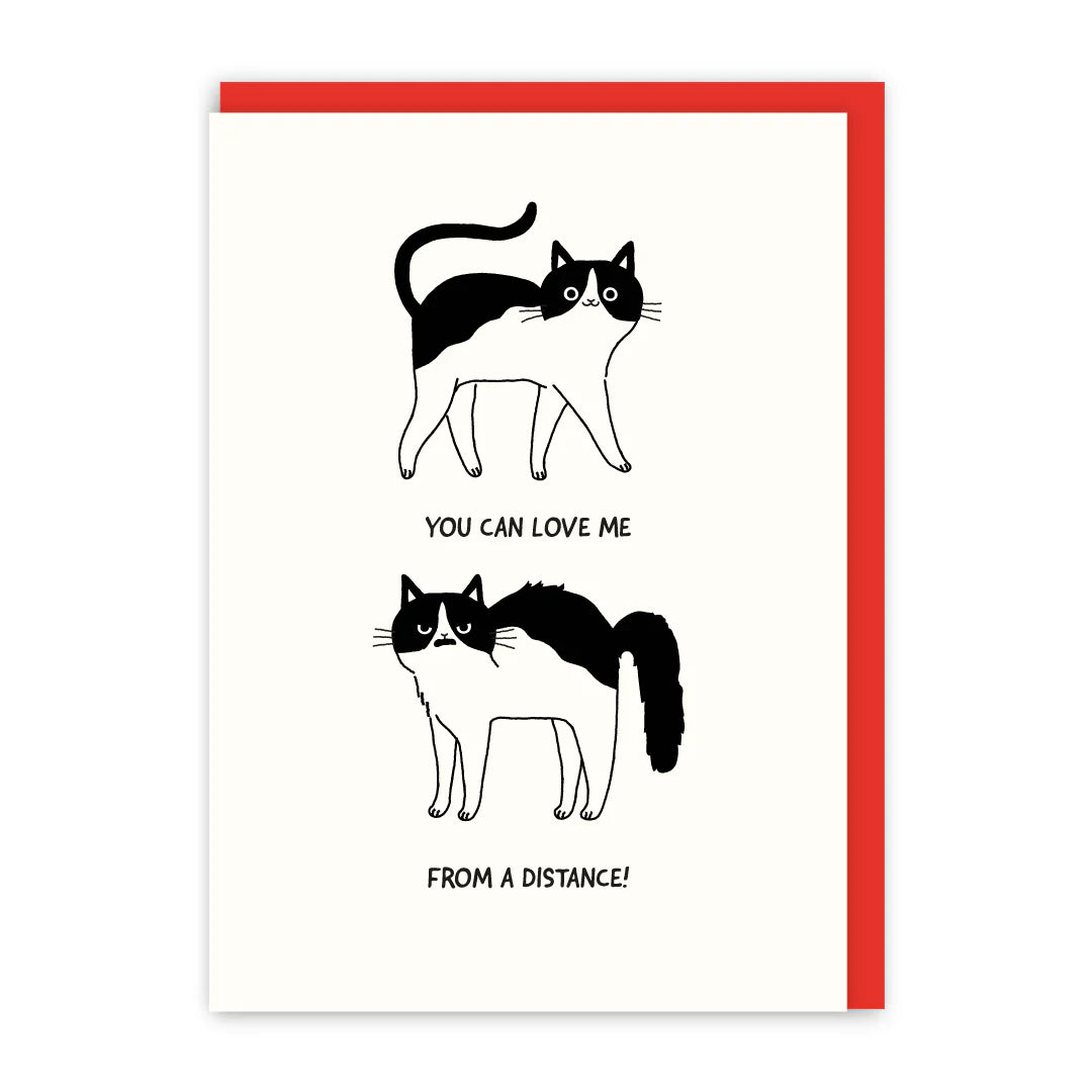 Love Me From A Distance Cat Card | In Real Life