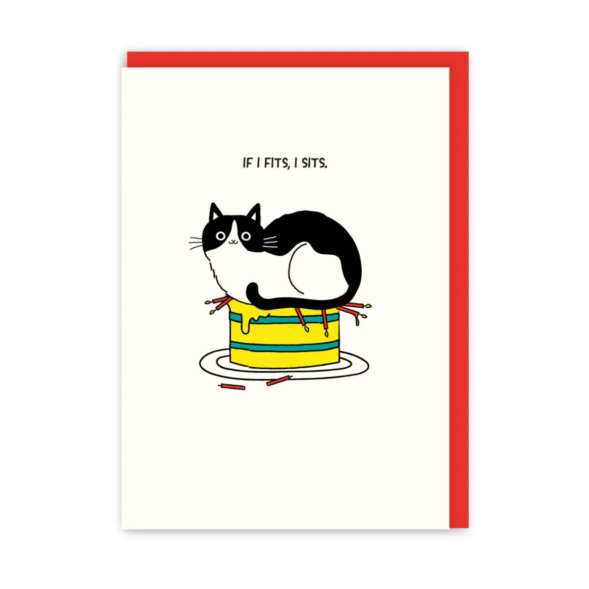 If I Fits I Sits Birthday Card | In Real Life