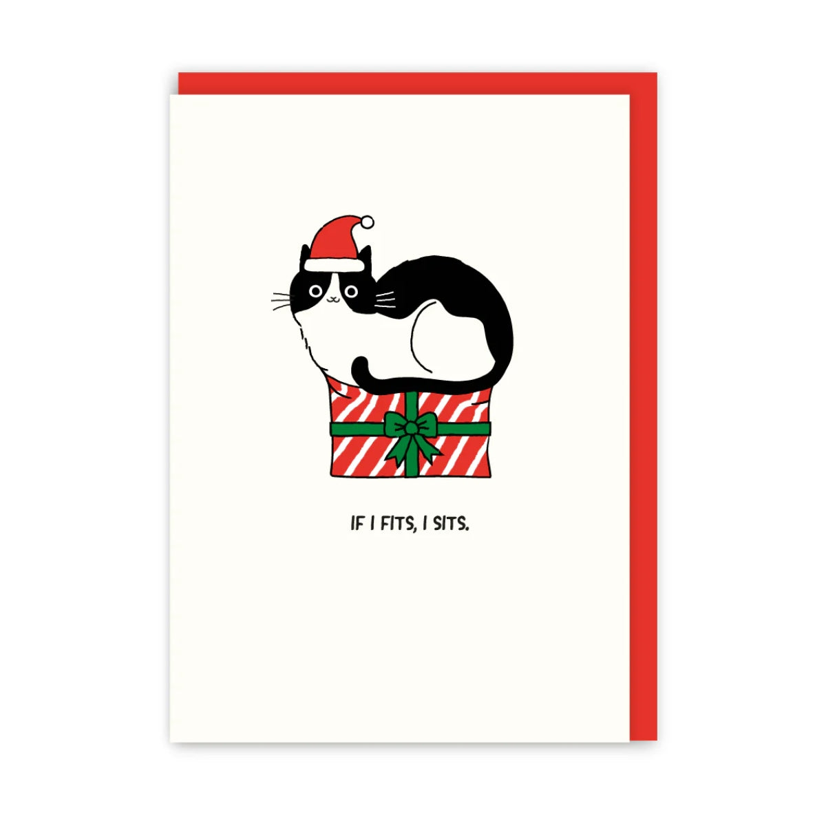 If I Fits I Sits Christmas Card | In Real Life