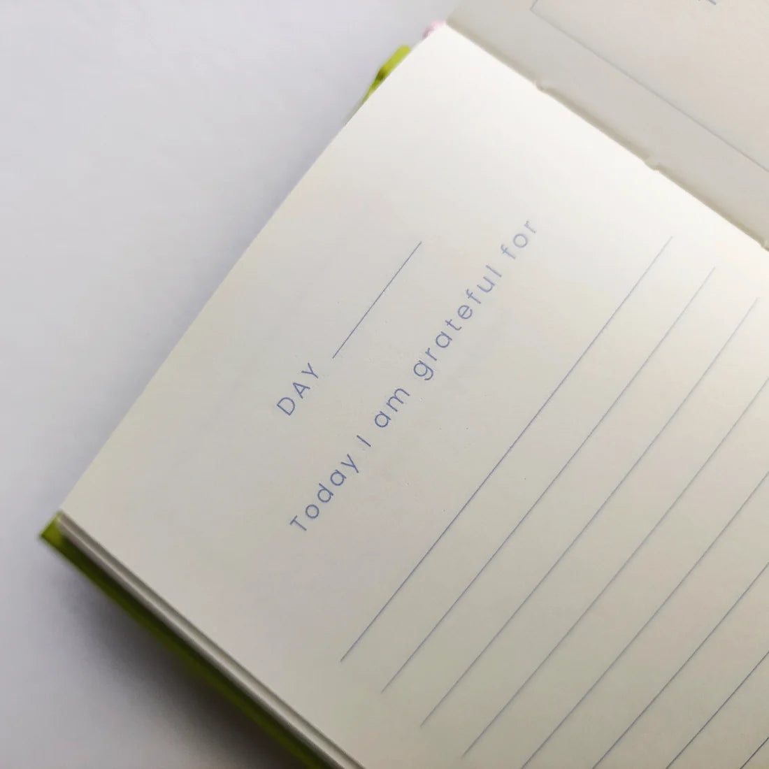 Petalscape Mini Happiness Journal | A7 | In Real Life