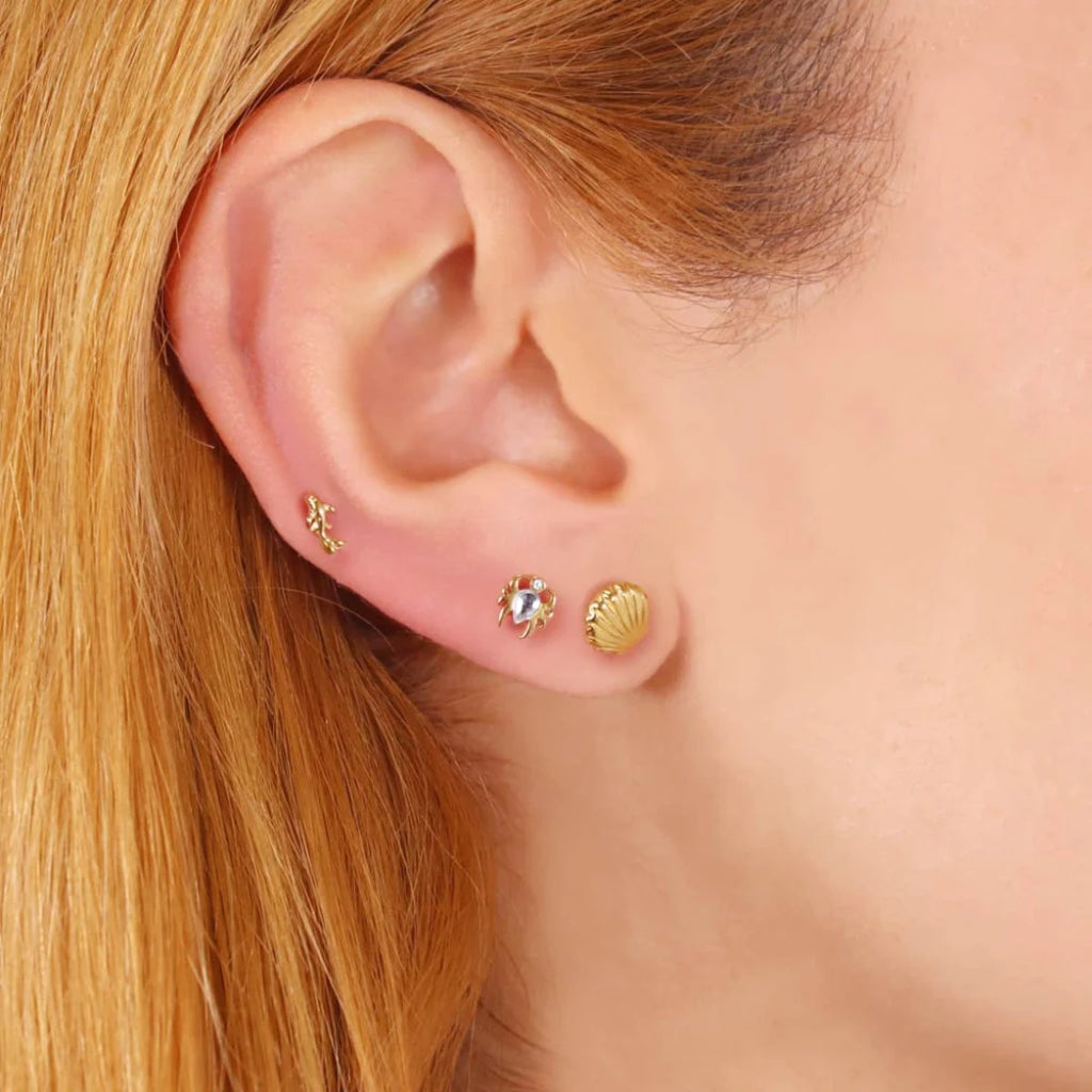 Sea Shell Ball Back Single Stud Earring | Anartxy