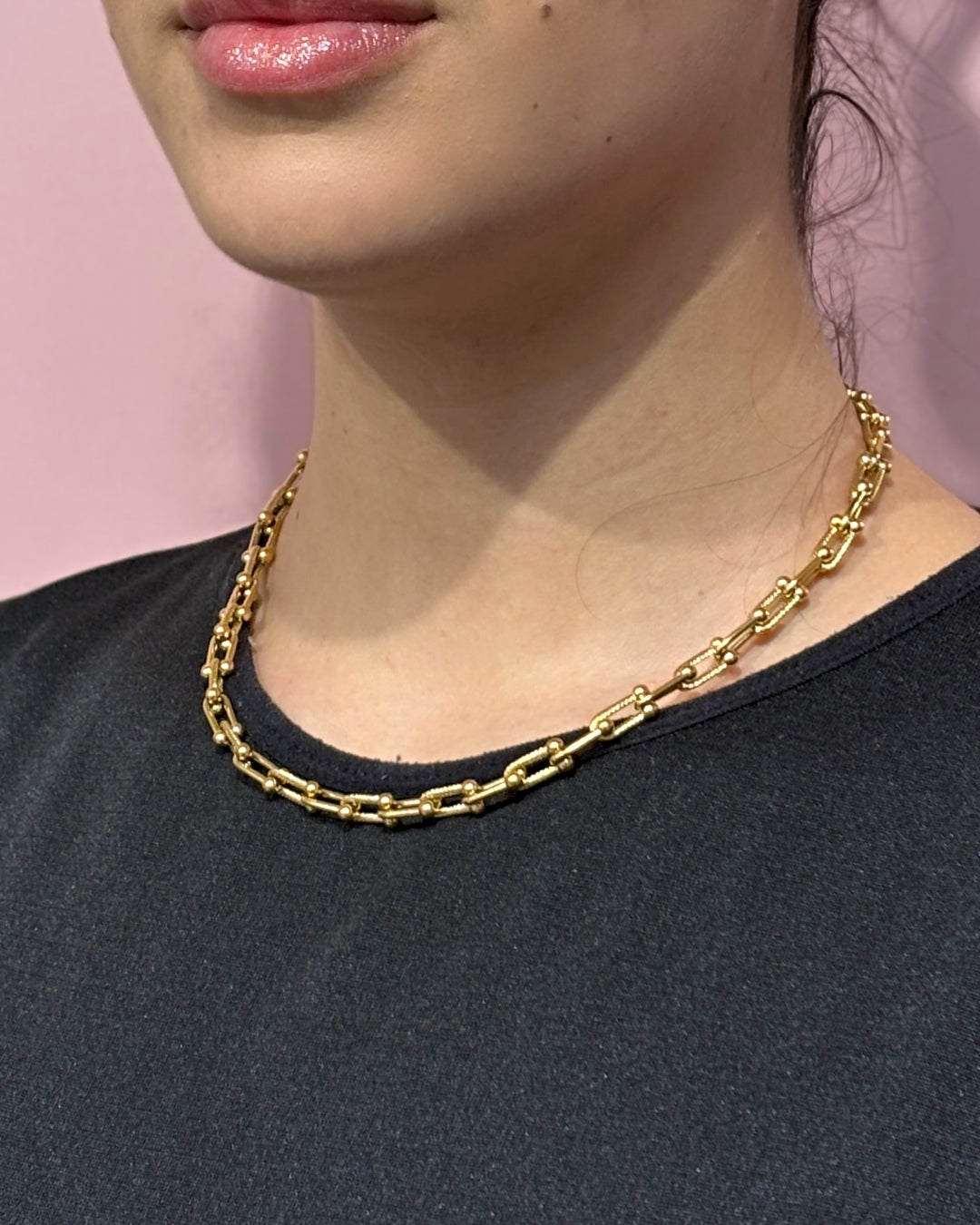 Steel U-Shape Horseshoe Link Necklace | Anartxy