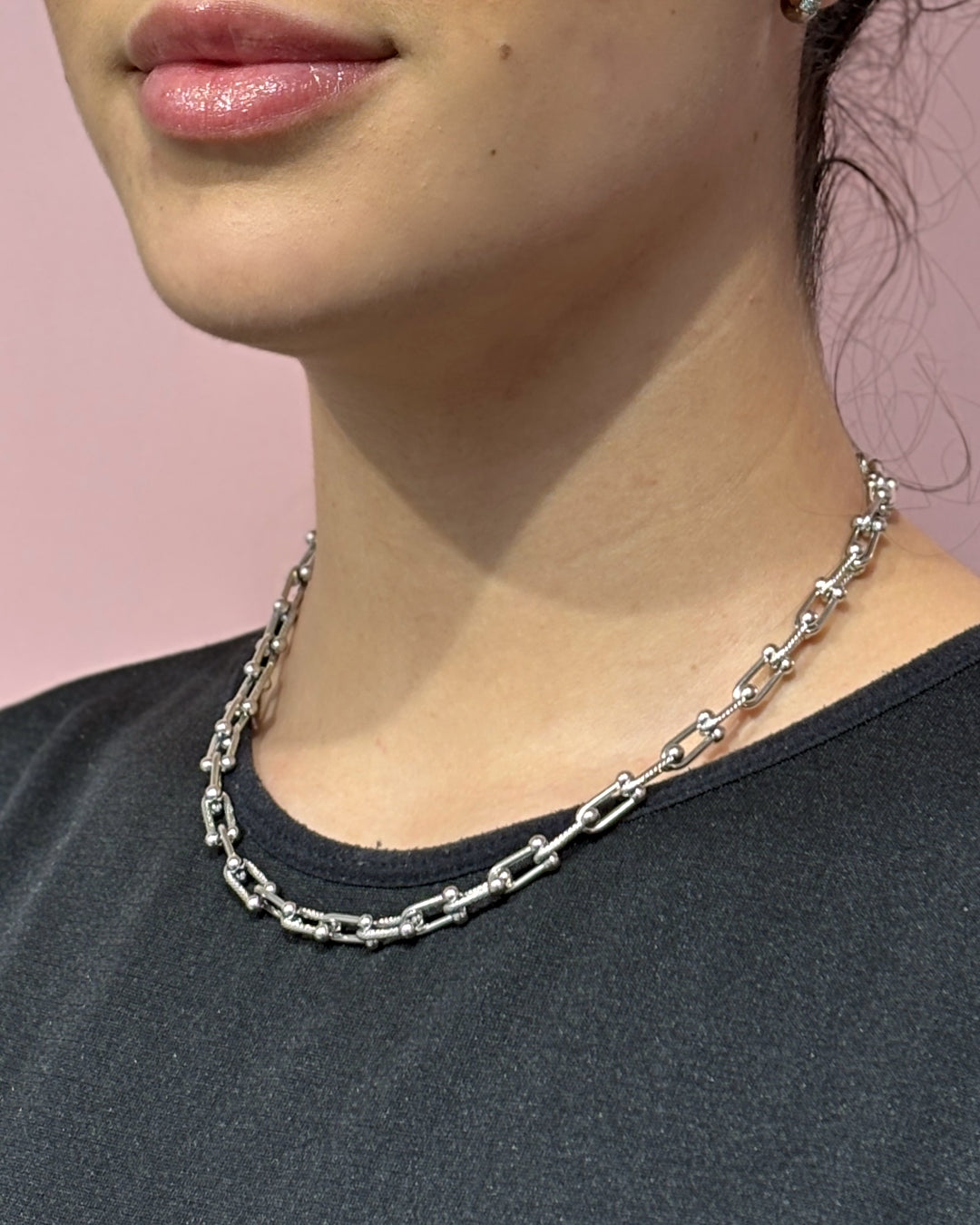 Steel U-Shape Horseshoe Link Necklace | Anartxy