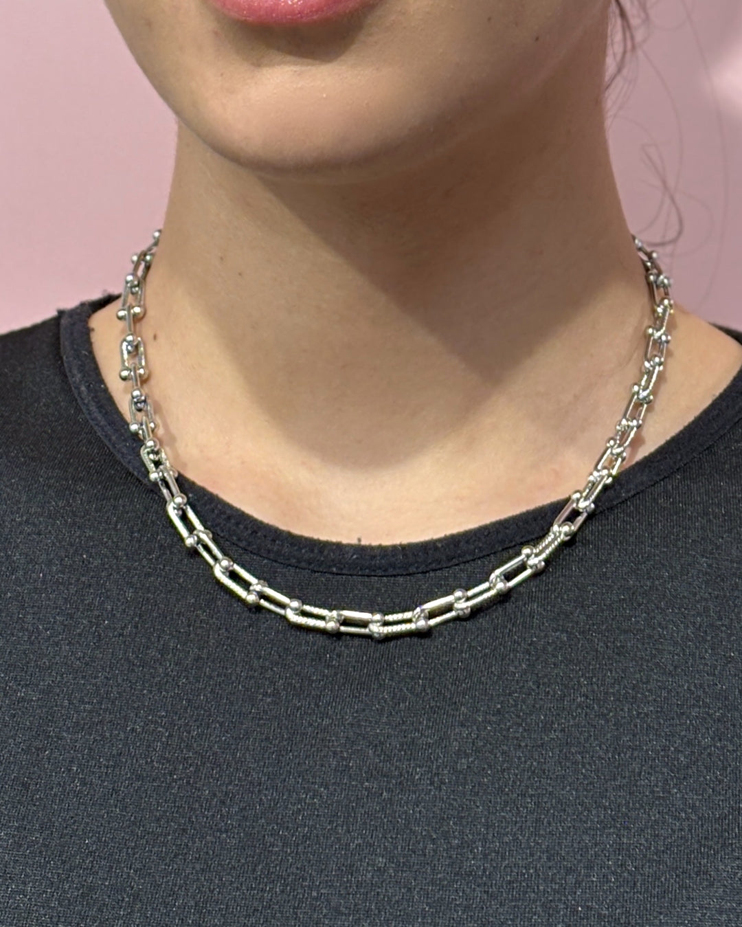 Steel U-Shape Horseshoe Link Necklace | Anartxy