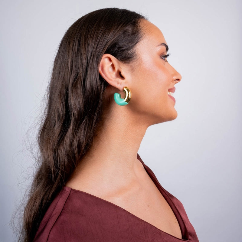Steel Chunky Coloured Hoop Earrings | Anartxy