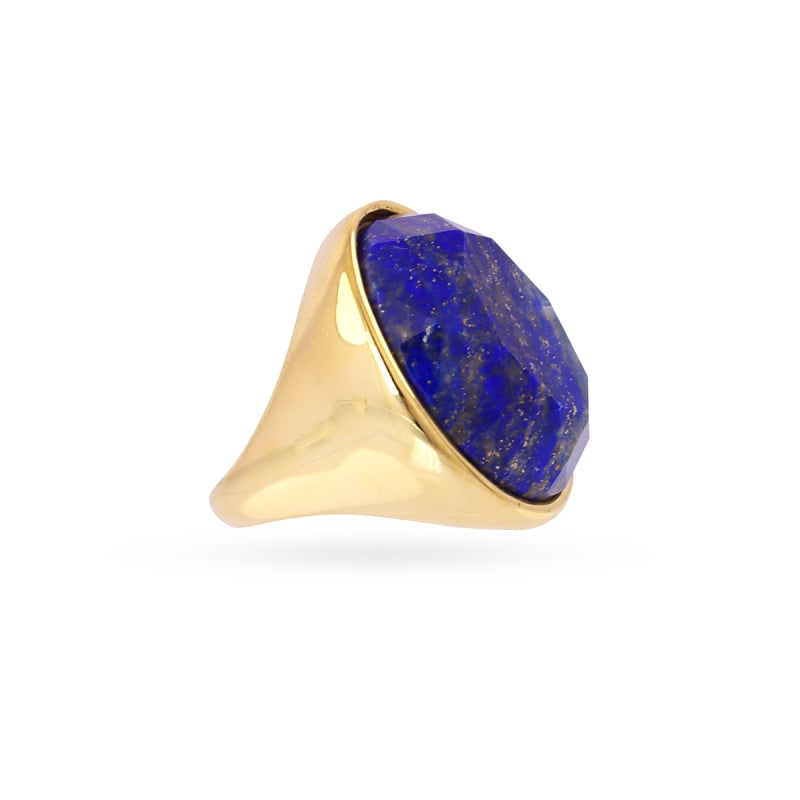 Steel Large Oval Natural Stone Ring | Anartxy